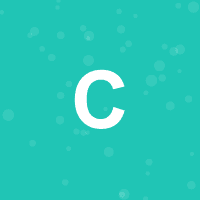 Bright Future Institute